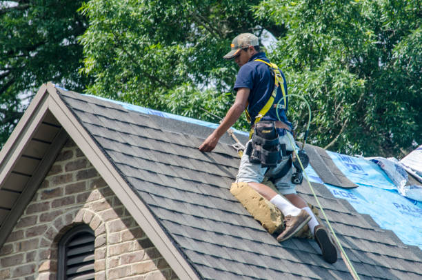 Best Roof Gutter Cleaning  in Port Orange, FL
